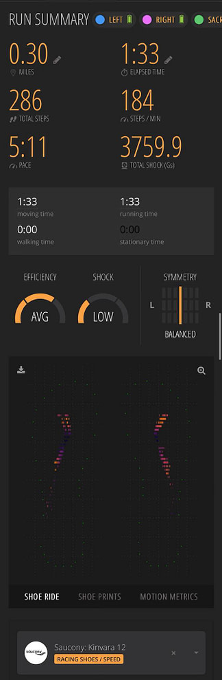 runscribe screen